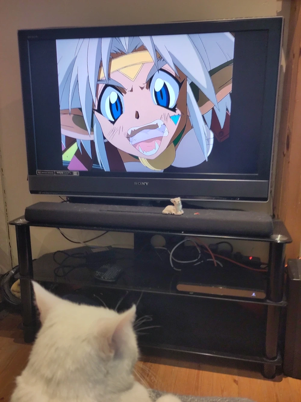 My cat Easóg sitting on my lap as we watch the alien catgirl Aisha Clan-Clan from Outlaw Star on the TV.