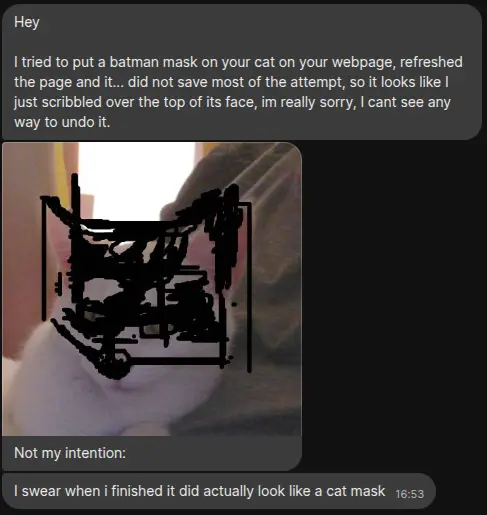 A screenshot showing the photo of the cat with black scribbles over her face.