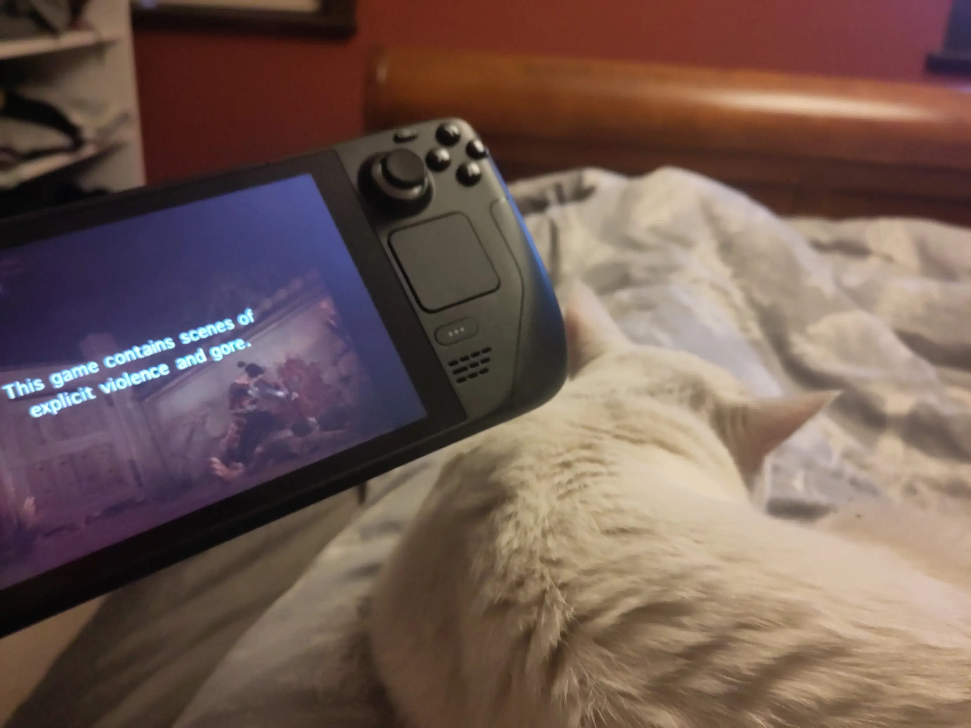 Me in bed with my cat Easóg sleeping on me while I play Onimusha: Warlords on a Steam Deck. 